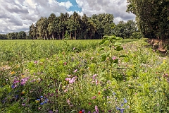 20150729_21 26